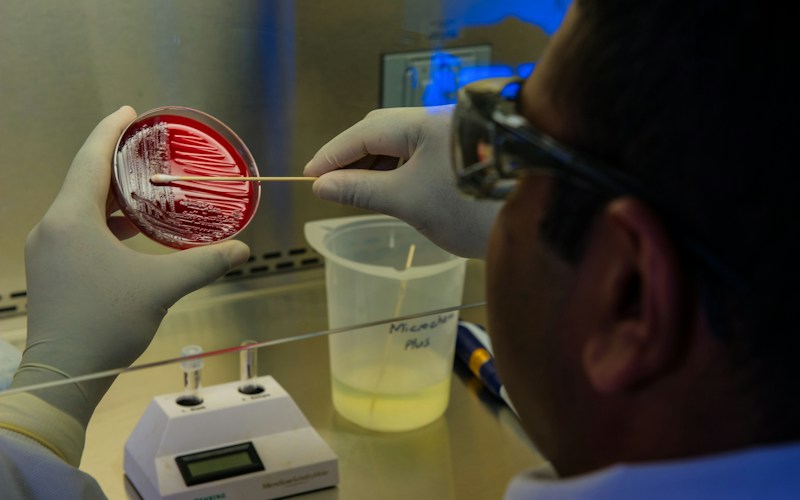 Designing an Environmental Monitoring Plan for Ready-to-Eat Food Facilities
